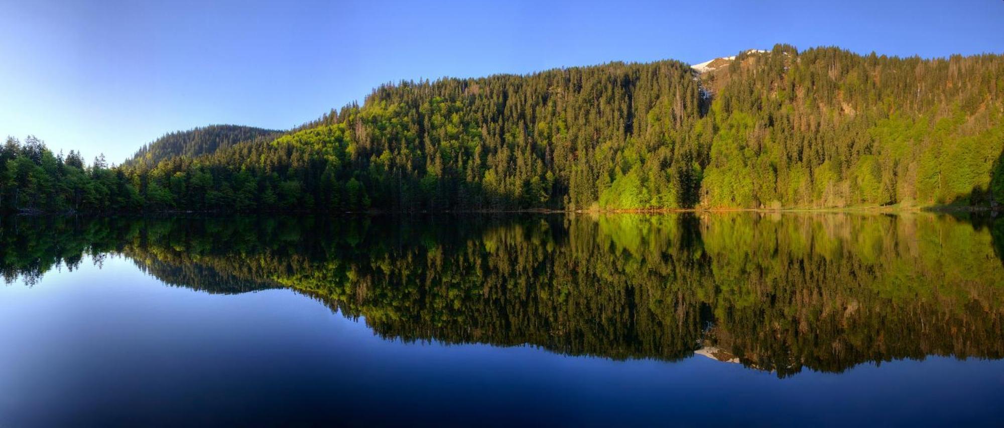 Haus Panoramablick - Fewo Storchennest, Höchenschwand Eksteriør billede